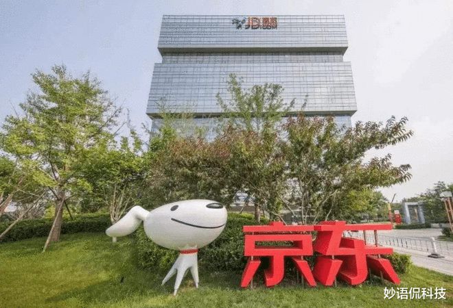 刘强东也想不通：京东物流速度快为啥用户选择拼多多和淘宝？平博 平博PINNACLE(图5)