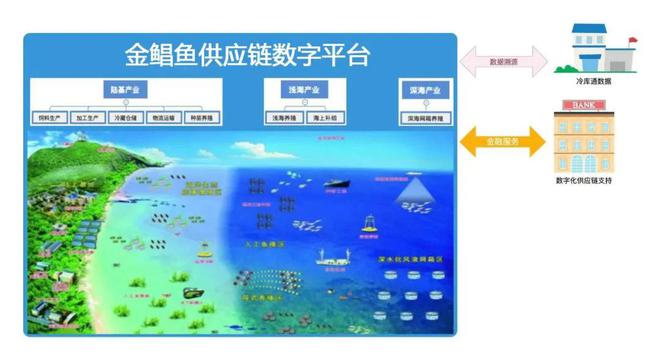 平博 平博PINNACLE金鲳鱼跃上供应链数字平台向全国捎去