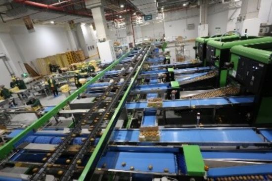 平博 平博PINNACLE万纬物流打造“超级水果工厂” 助力优质水果走进千家万户(图1)