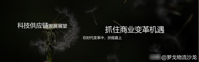 平博 PINNACLE平博罗戈研究水哥：供应链物流的密度论(图32)