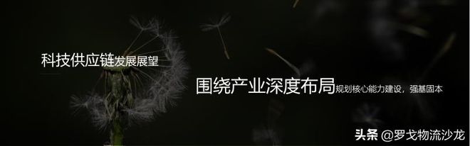 平博 PINNACLE平博罗戈研究水哥：供应链物流的密度论(图33)