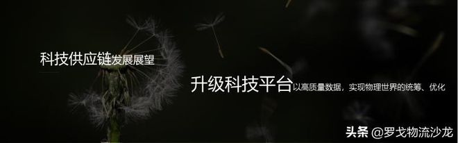 平博 PINNACLE平博罗戈研究水哥：供应链物流的密度论(图34)
