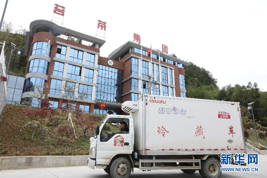 强信心·走进百企丨数字货运平台透视经济复苏 智慧物流助中小企