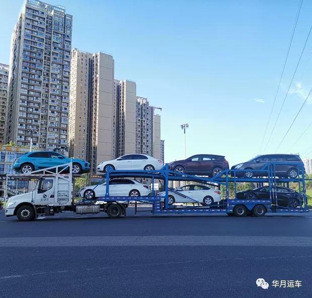 华月运车你身边最靠谱的汽车托运管家平博 平博PINNACLE！(图2)