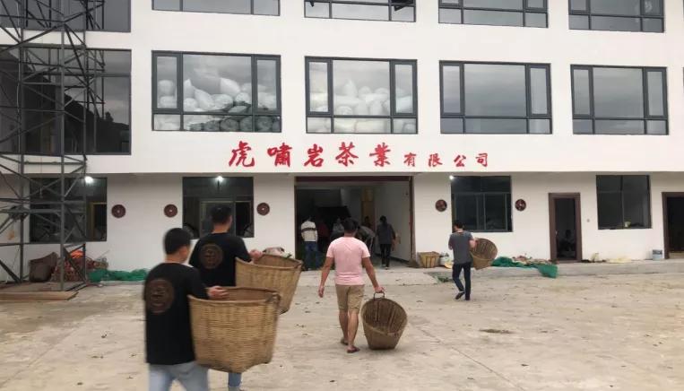 欢迎虎啸岩茶业入平博 平博PINNACLE驻中贸茶网！(图3)