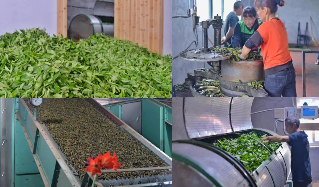 欢迎虎啸岩茶业入平博 平博PINNACLE驻中贸茶网！(图4)