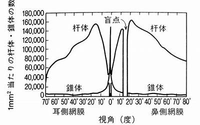 平博 PINNACLE平博环球贸易网（关于环球贸易网介绍）(