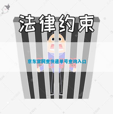 京东官网查快平博 平博PINNACLE递单号查询入口(图1)